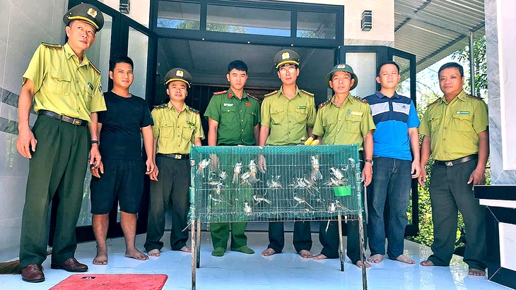 Bán 40 con chim trên mạng, bị kiểm lâm mật phục bắt phạt - Ảnh 1.