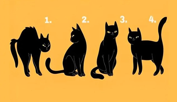 quiz - Ảnh 1.