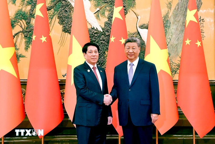 Chủ tịch nước Lương Cường hội đàm Tổng Bí thư, Chủ tịch nước Trung Quốc Tập Cận Bình - Ảnh 1.