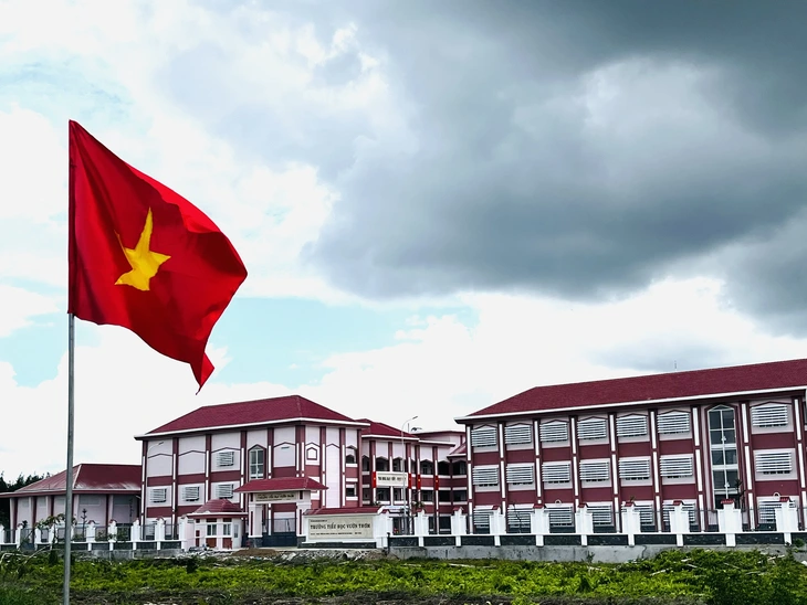 TP.HCM khánh thành 5 ngôi trường mới hàng trăm tỉ đồng - Ảnh 1.