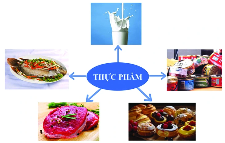 ngộ độc thực phẩm - Ảnh 2.
