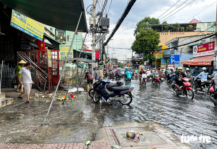 Thủ Đức - Ảnh 2.