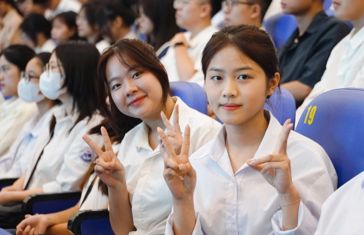 vi mạch bán dẫn - Ảnh 1.