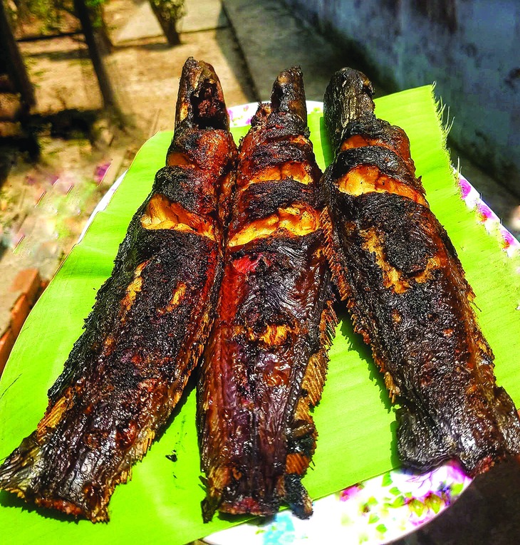 cá trê - Ảnh 2.