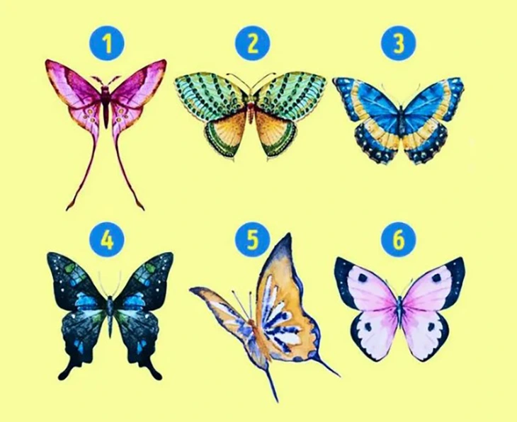 quiz - Ảnh 1.
