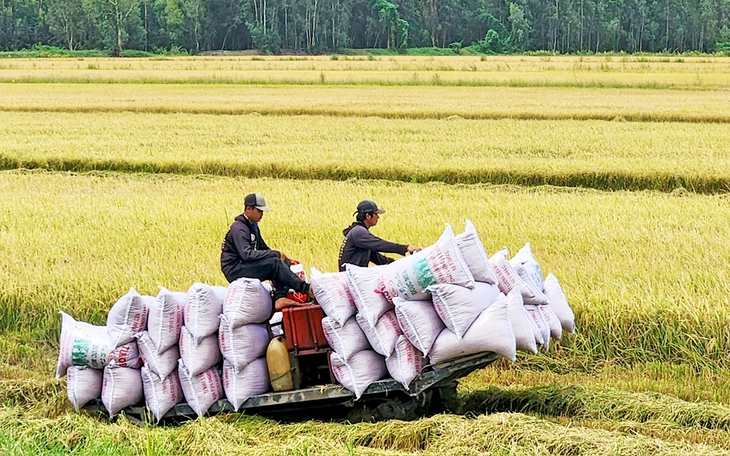 Loạt ngành hàng xuất khẩu đạt tỉ USD tăng mạnh bất chấp lệnh áp thuế đối ứng - Ảnh 3.