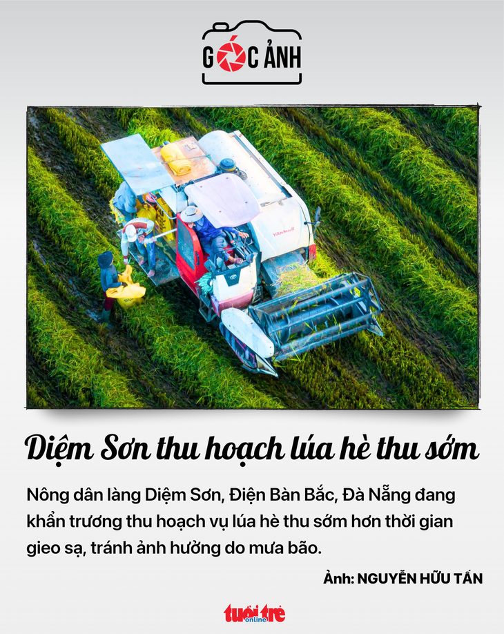TIN TỨC - Ảnh 7.
