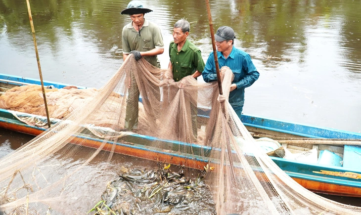 Xuyệt điện tận diệt 'hết thời' ở Cà Mau - Ảnh 1. Xuyệt điện - Ảnh 1.
