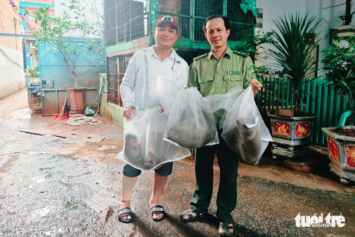 Đã bắn gây mê con vượn quý hiếm thoắt ẩn thoắt hiện sau nhà người dân ở xã Tân Nhựt, TP.HCM - Ảnh 4.