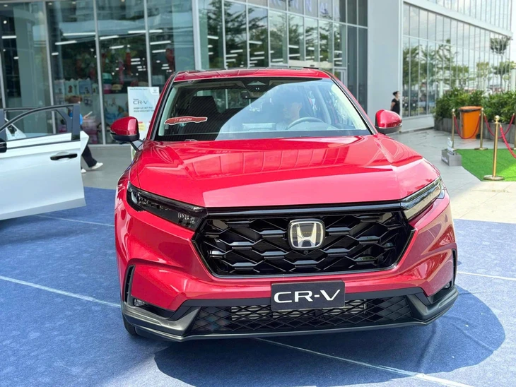 xe cho gia đình - Ảnh 14.