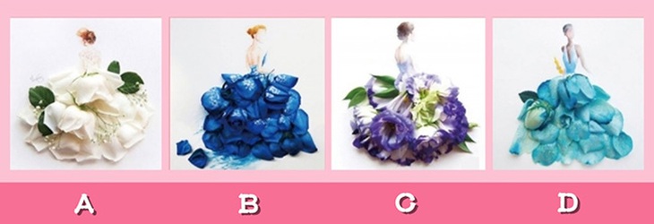 quiz - Ảnh 1.