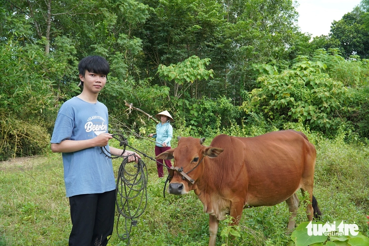 Người mẹ đơn thân mỗi năm bán 1 con bò cho con vào đại học - Ảnh 2.