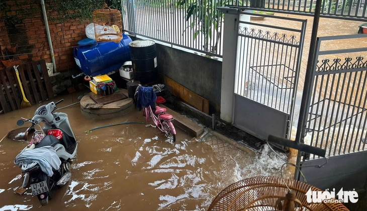 Mưa lớn kéo dài, nhiều nơi ở Đắk Lắk ngập sâu - Ảnh 2.