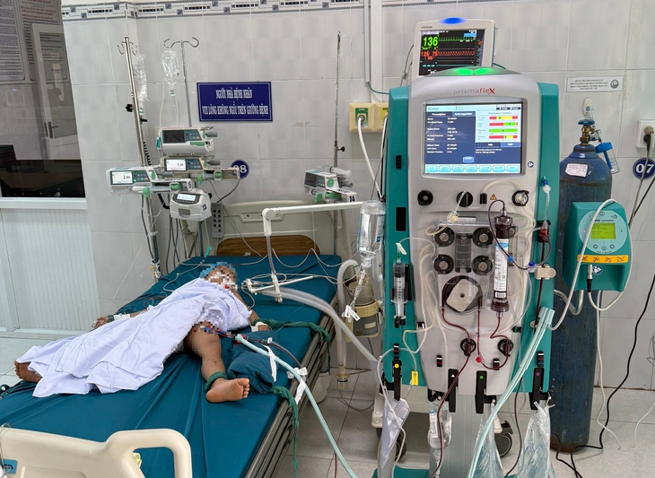 3 trẻ tại Gia Lai bị ong vò vẽ đốt, 1 cháu tử vong - Ảnh 1.