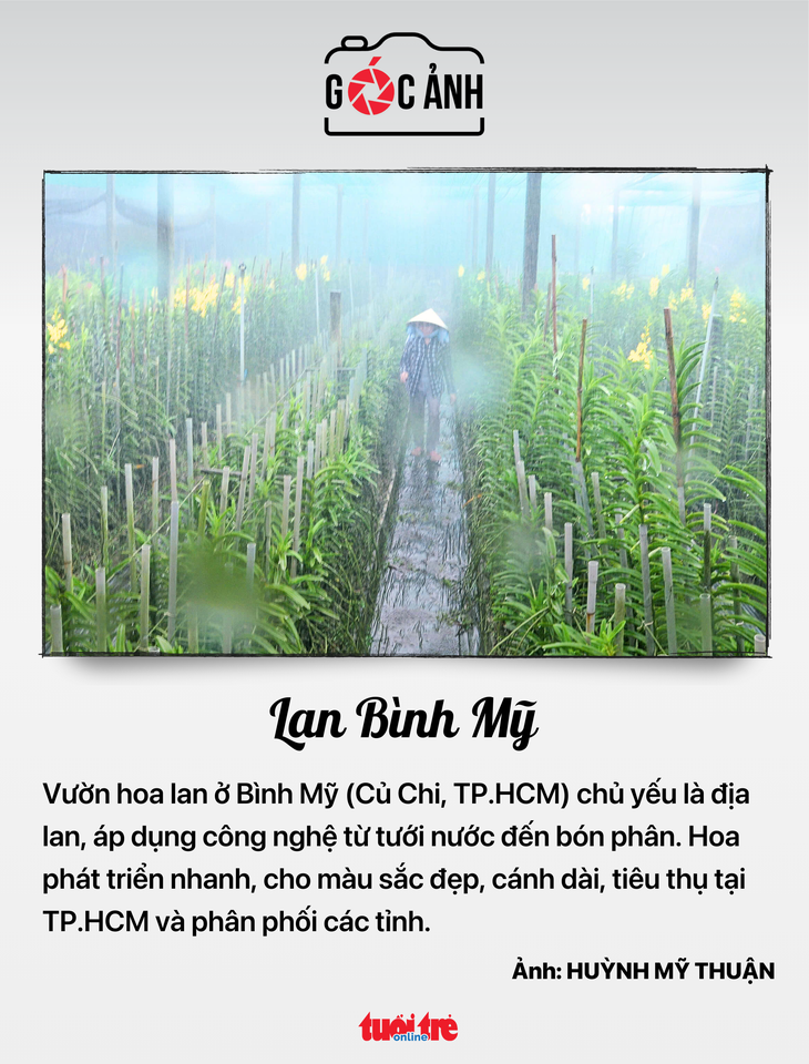 tin tức - Ảnh 6.