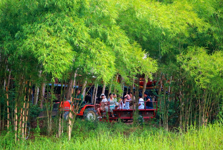 Khánh Hòa quyết tâm trở thành điểm đến xanh toàn diện - Ảnh 1. Khánh Hòa - Ảnh 1.