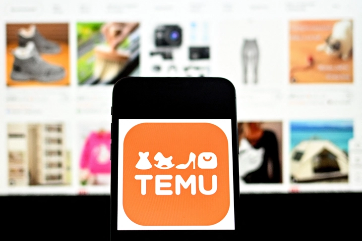 Temu - Ảnh 1.
