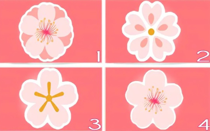 Quiz: Bạn mạnh mẽ, vị tha hay tình cảm, yếu đuối? - Ảnh 2.