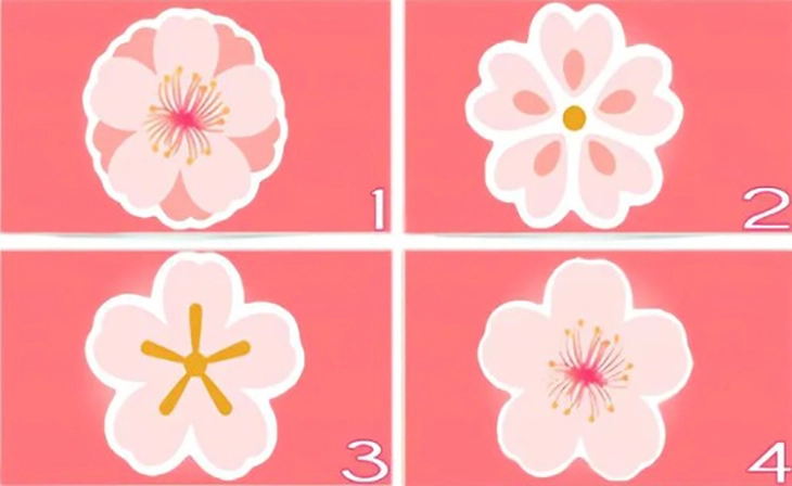 quiz - Ảnh 1.