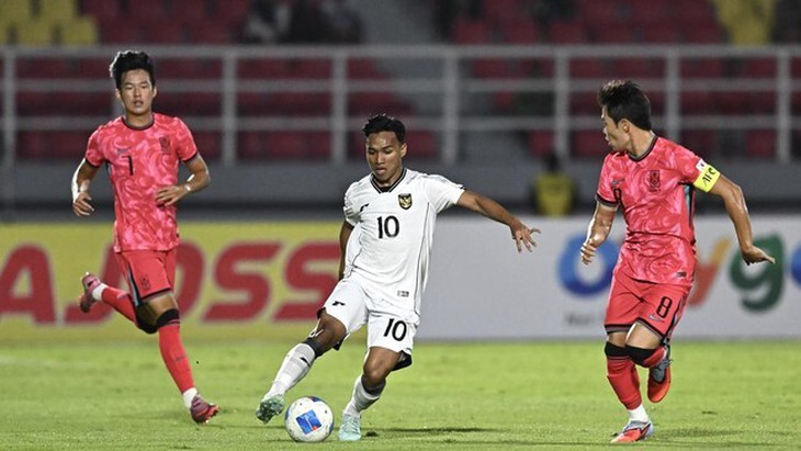 Indonesia - Ảnh 1.