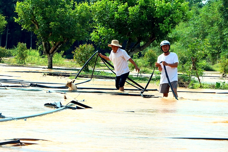 Bình Phước - Ảnh 1.