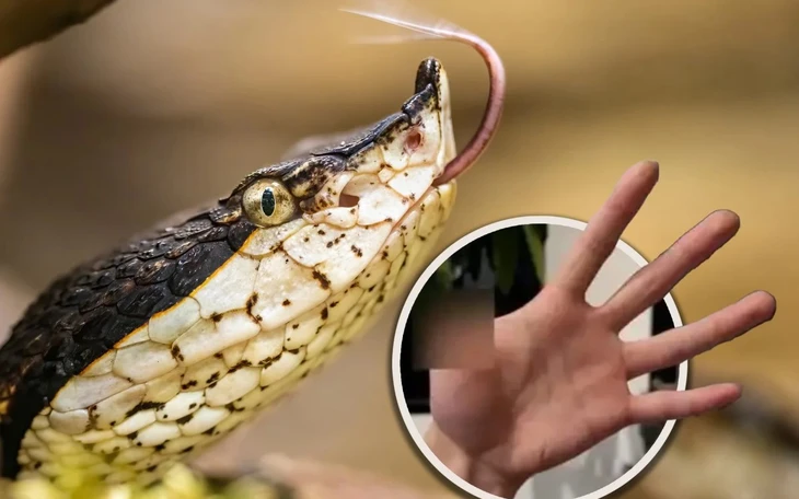 Hành khách đi máy bay hỗ trợ đưa huyết thanh từ TP.HCM ra Huế cứu sống bé gái bị rắn cạp nia cắn - Ảnh 2.