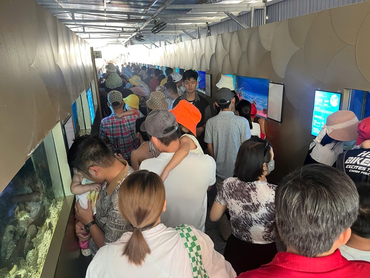 Nha Trang - Ảnh 5.