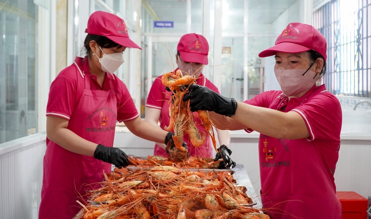 Khô tôm càng, sản phẩm độc đáo, sáng tạo - Ảnh 3.