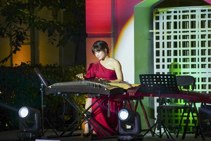 Da Nang concert - Ảnh 8.