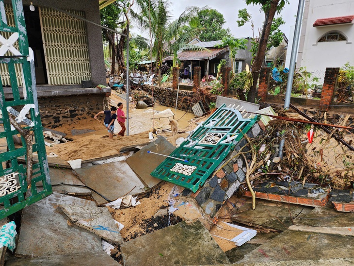 GREENFEED - Ảnh 4.