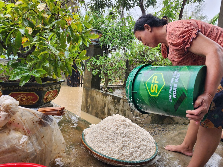 GREENFEED - Ảnh 5.