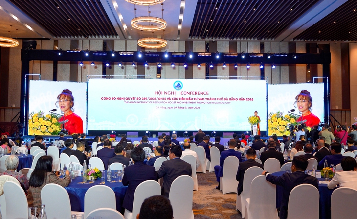 TS Nguyễn Thị Phương Thảo - Ảnh 2.