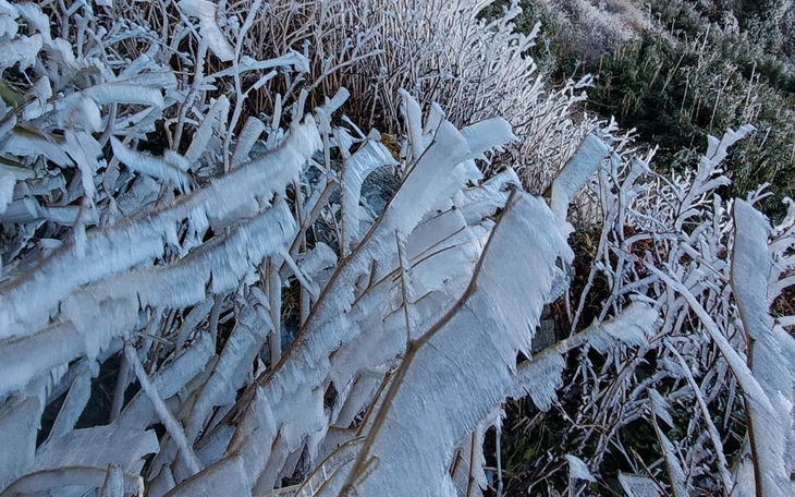 Cận cảnh băng giá ở đỉnh Mẫu Sơn khi nhiệt độ còn 0,1 độ C - Ảnh 5.