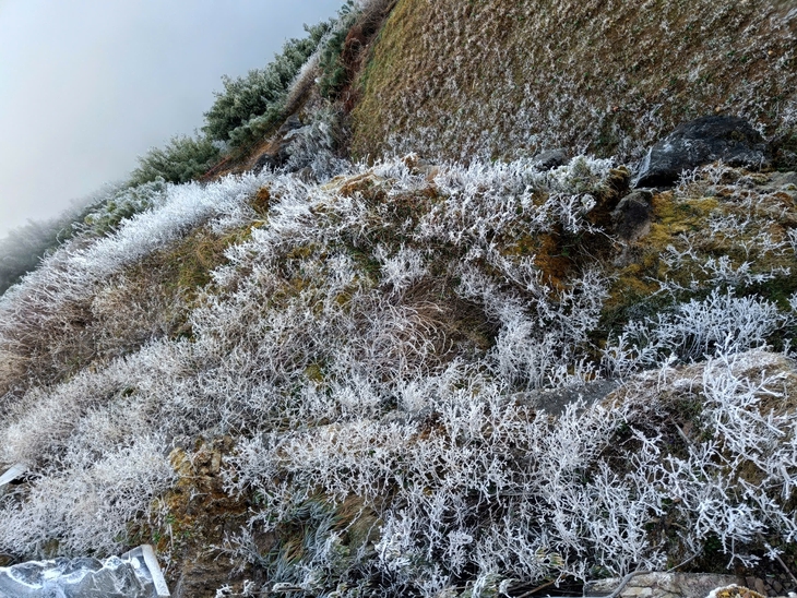 Băng giá phủ trắng đỉnh Fansipan - Ảnh 3.