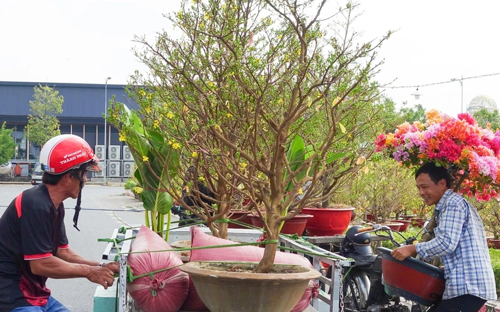 Một góc khói, cả một đời thương - Ảnh 3.