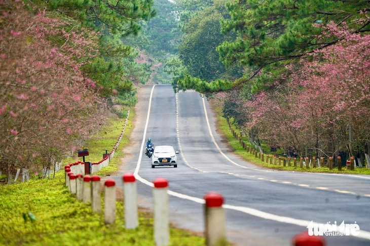 Măng Đen - Ảnh 2.