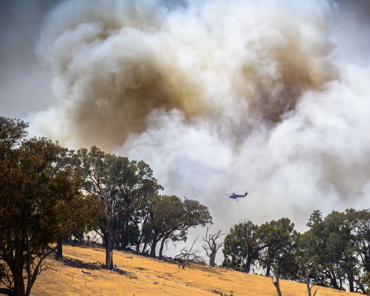 cháy rừng - Ảnh 6.