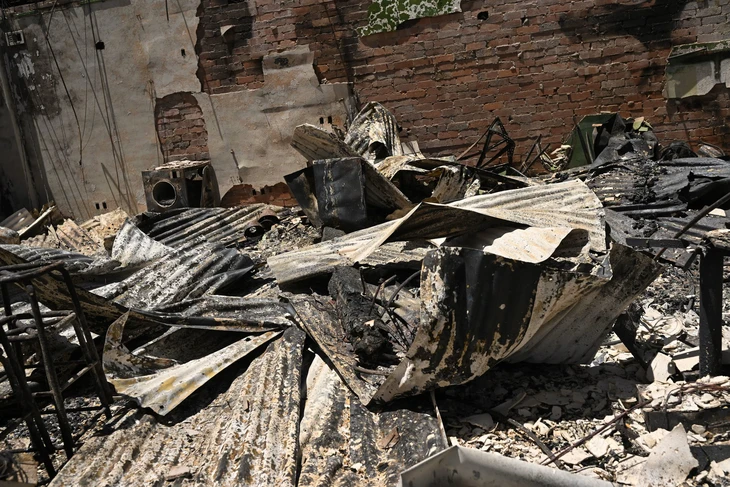 cháy rừng - Ảnh 5.