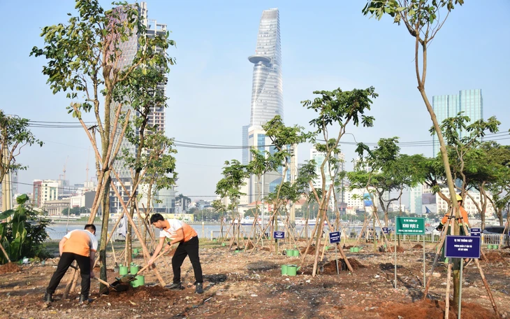 Đón xuân trong lành, thầm biết ơn những 'kiến thợ' thu gom rác - Ảnh 5.