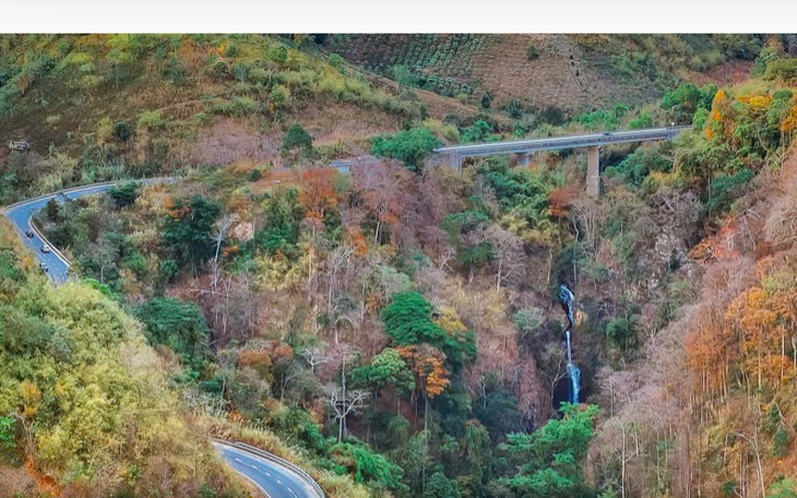 Lý Sơn - Măng Đen 'bắt tay',  sáng biển - chiều rừng chẳng phải chuyện mộng mơ - Ảnh 12.