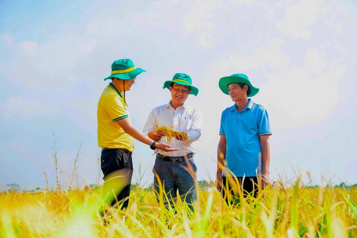 Phân bón Cà Mau - Ảnh 2.