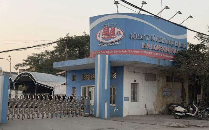 Vụ heo bệnh ở Công ty đồ hộp Hạ Long: Cục Chăn nuôi và Thú y nói gì? - Ảnh 2.