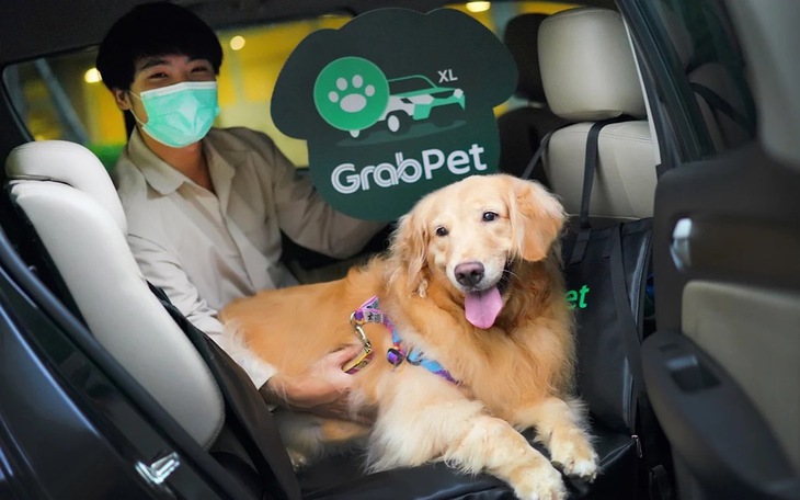 Người trẻ chi đậm tay nuôi thú cưng như 'em bé' - Ảnh 4.