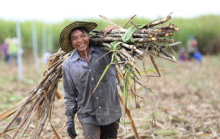 Khi gió bấc tràn qua mặt - Ảnh 2.
