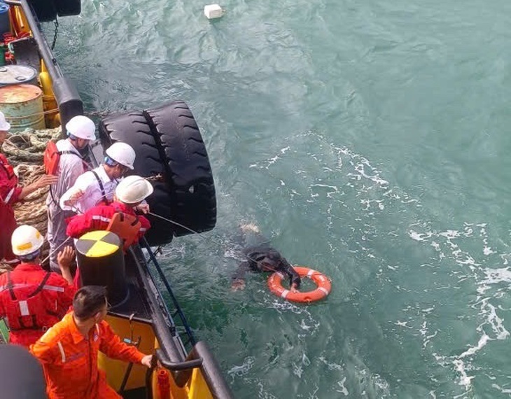 Sóng lớn đánh chìm thúng, ngư dân trôi dạt trên biển Dung Quất may mắn được cứu - Ảnh 2.