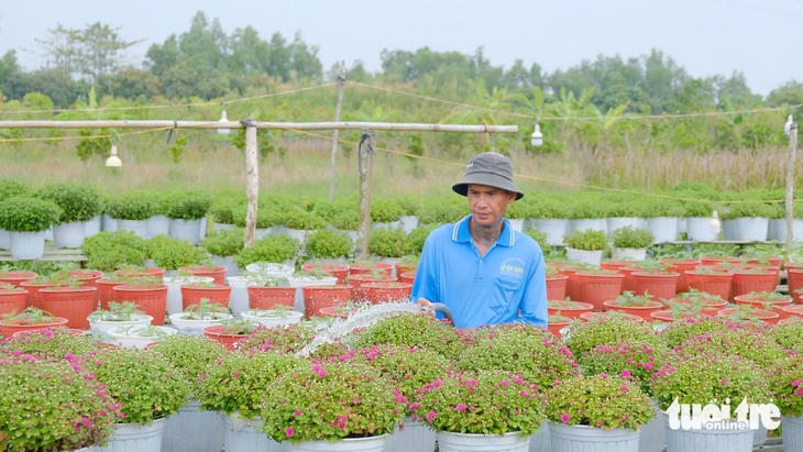 hoa Tết - Ảnh 5.