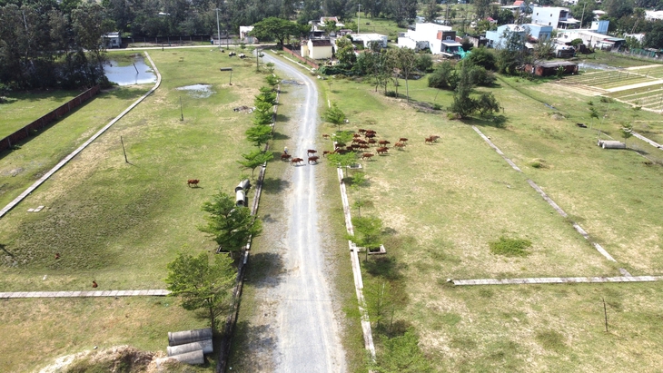 Bách Đạt An - Ảnh 2.