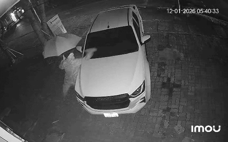 Công an triệu tập người che dù đập phá ô tô lúc sáng sớm - Ảnh 3.