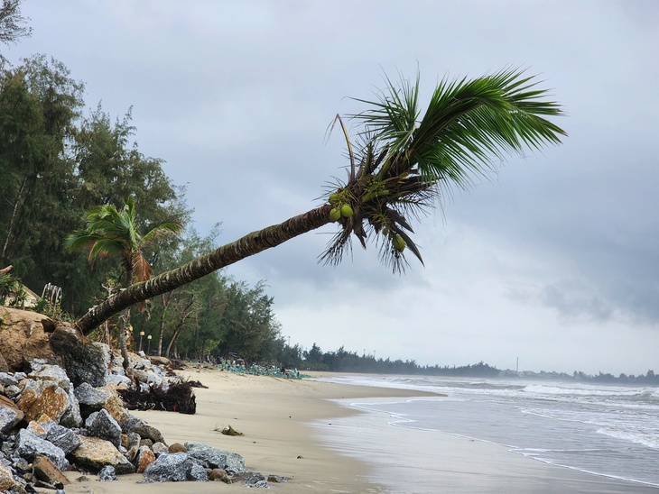 Dòng RIP - Ảnh 2.