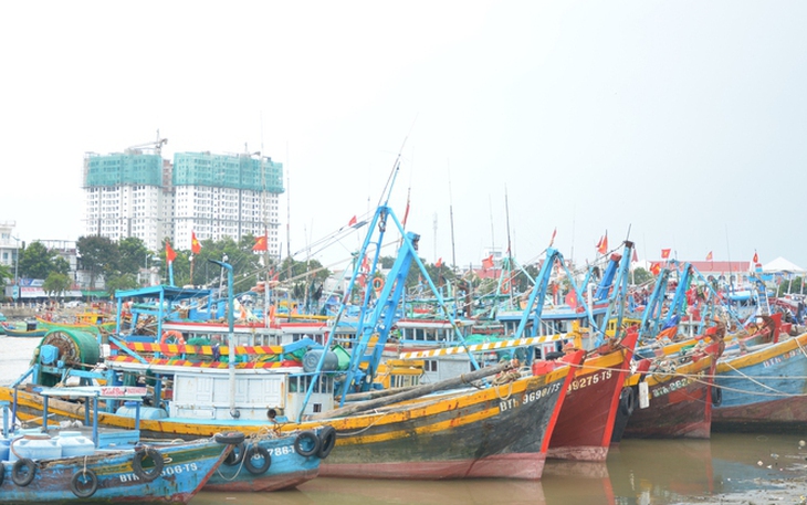 Thủ tướng chỉ đạo huy động tối đa thời gian, nguồn lực để chống khai thác IUU - Ảnh 5.